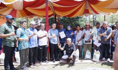 Bupati Rohil Resmi Salurkan Bantuan Beras Sebanyak 34.164 PKM