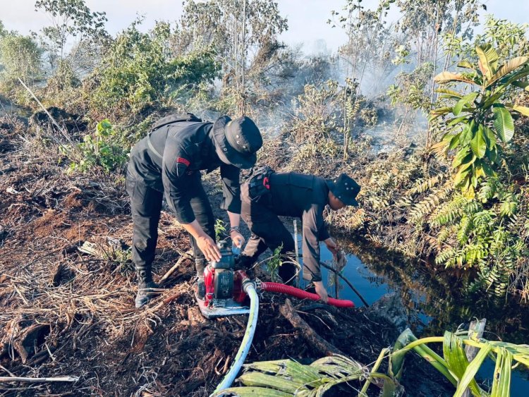 Kebakaran Hutan di Kabupaten Rohil, Brimob Polda Riau Turun Padamkan Api